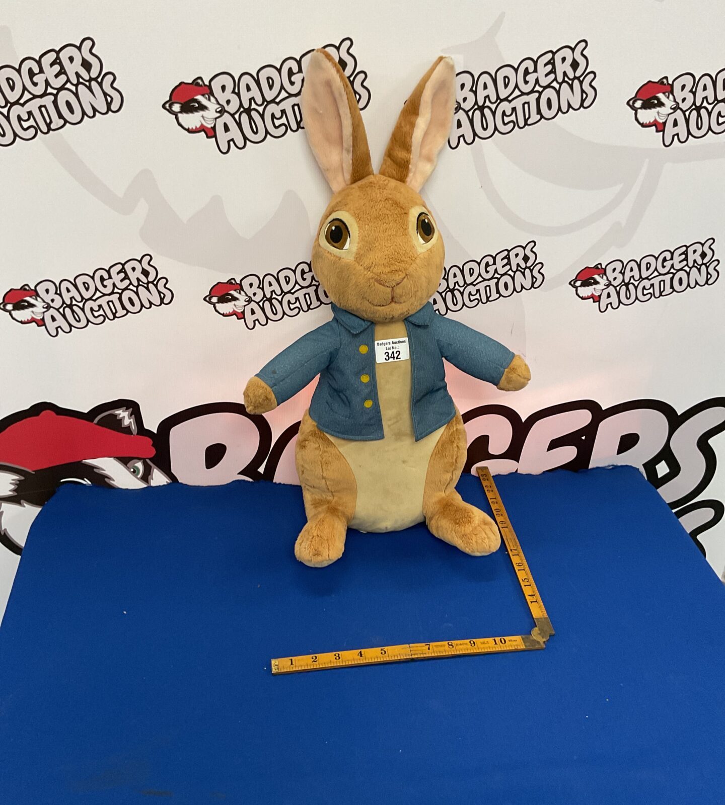 Rainbow peter rabbit soft toy