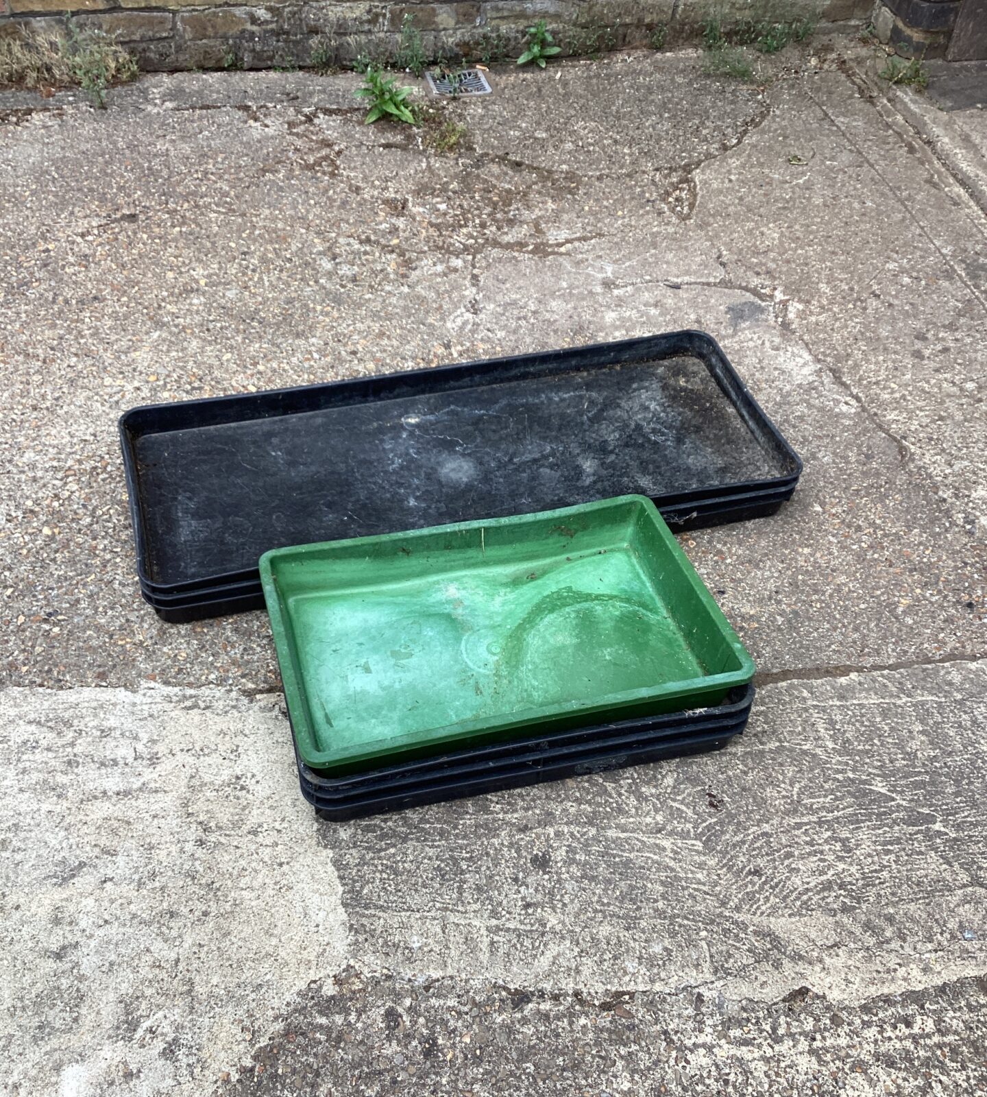 Quantity of Greenhouse trays