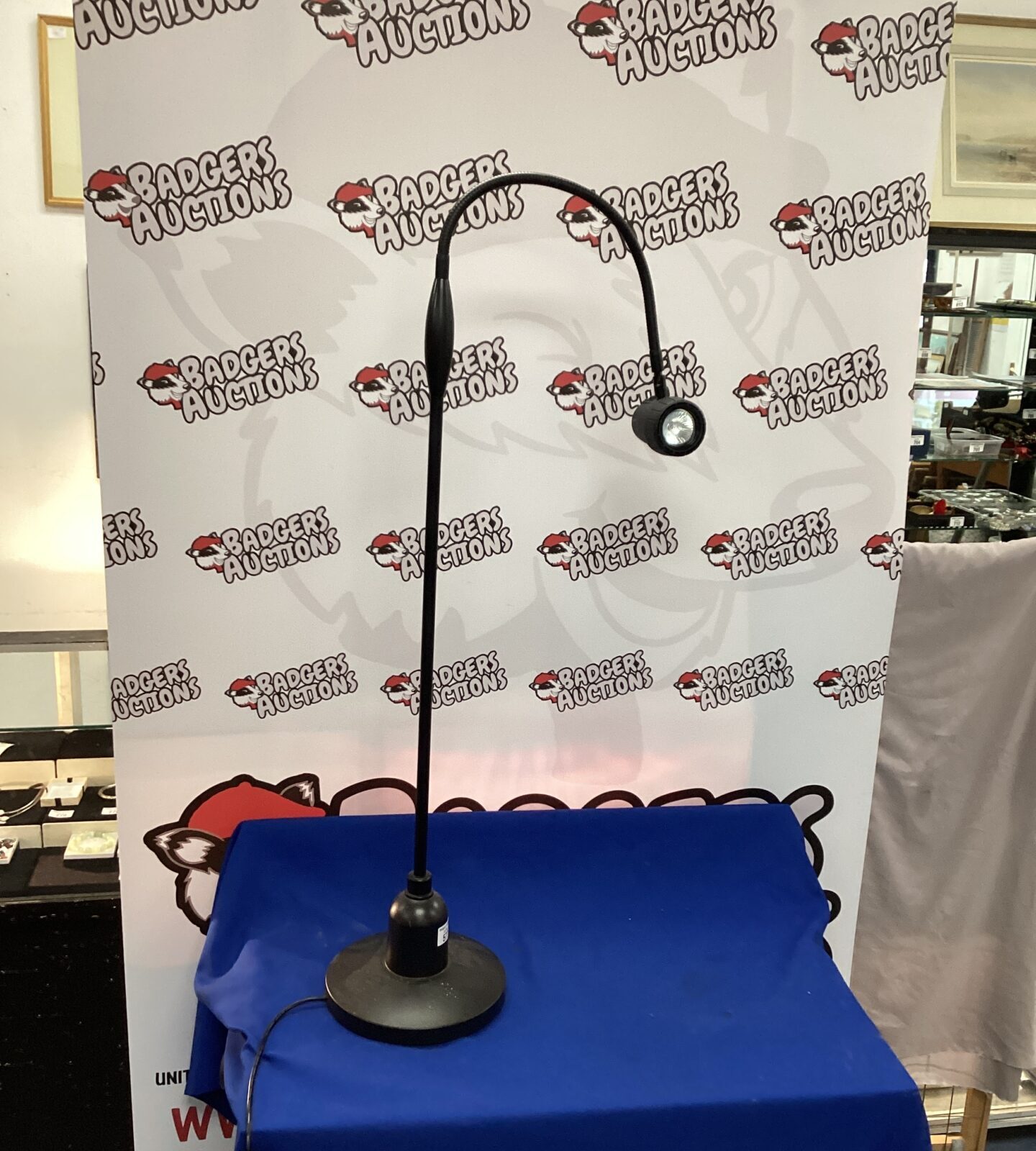Serious Readers Floor Lamp