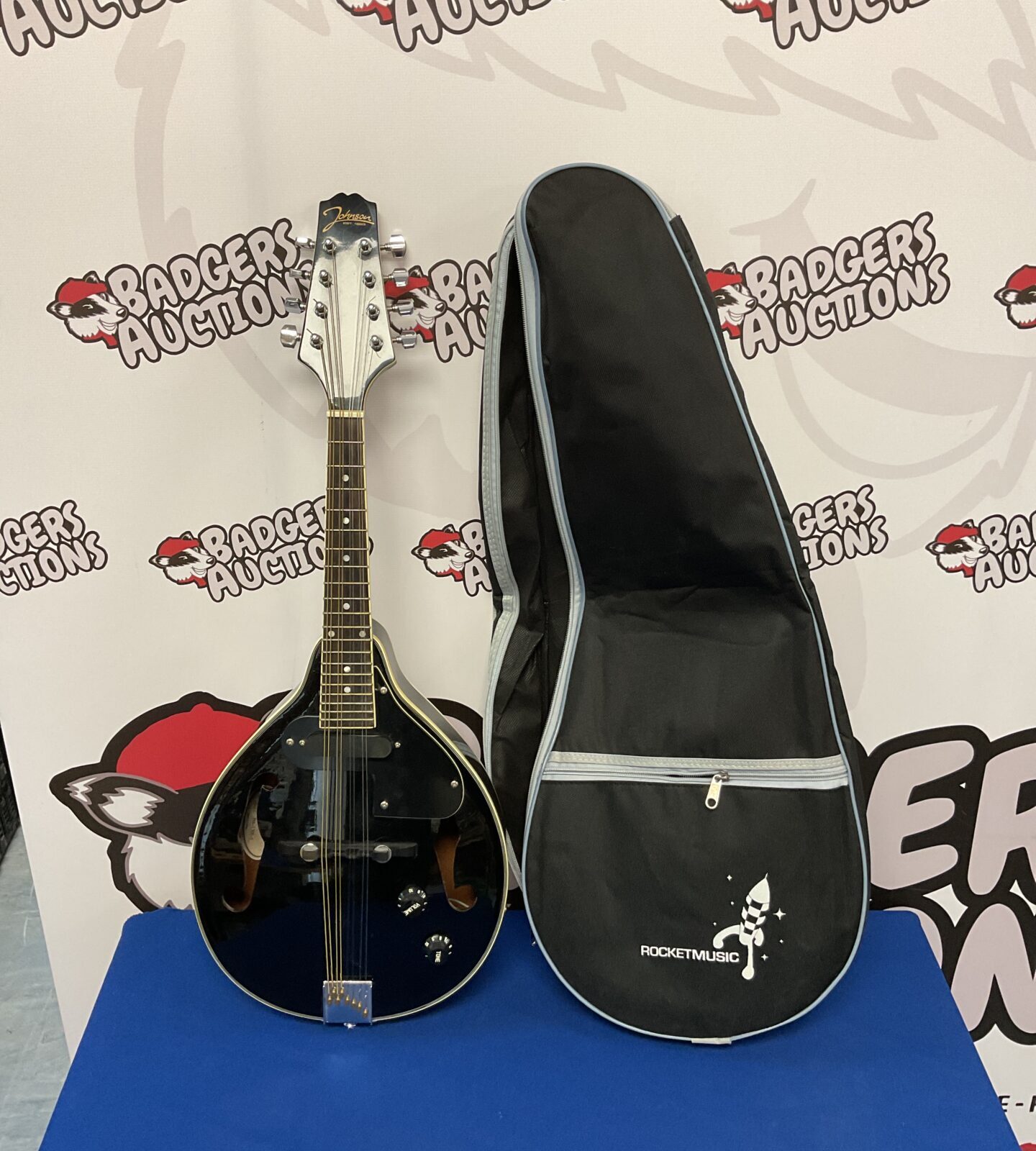 Johnson electric mandolin in case