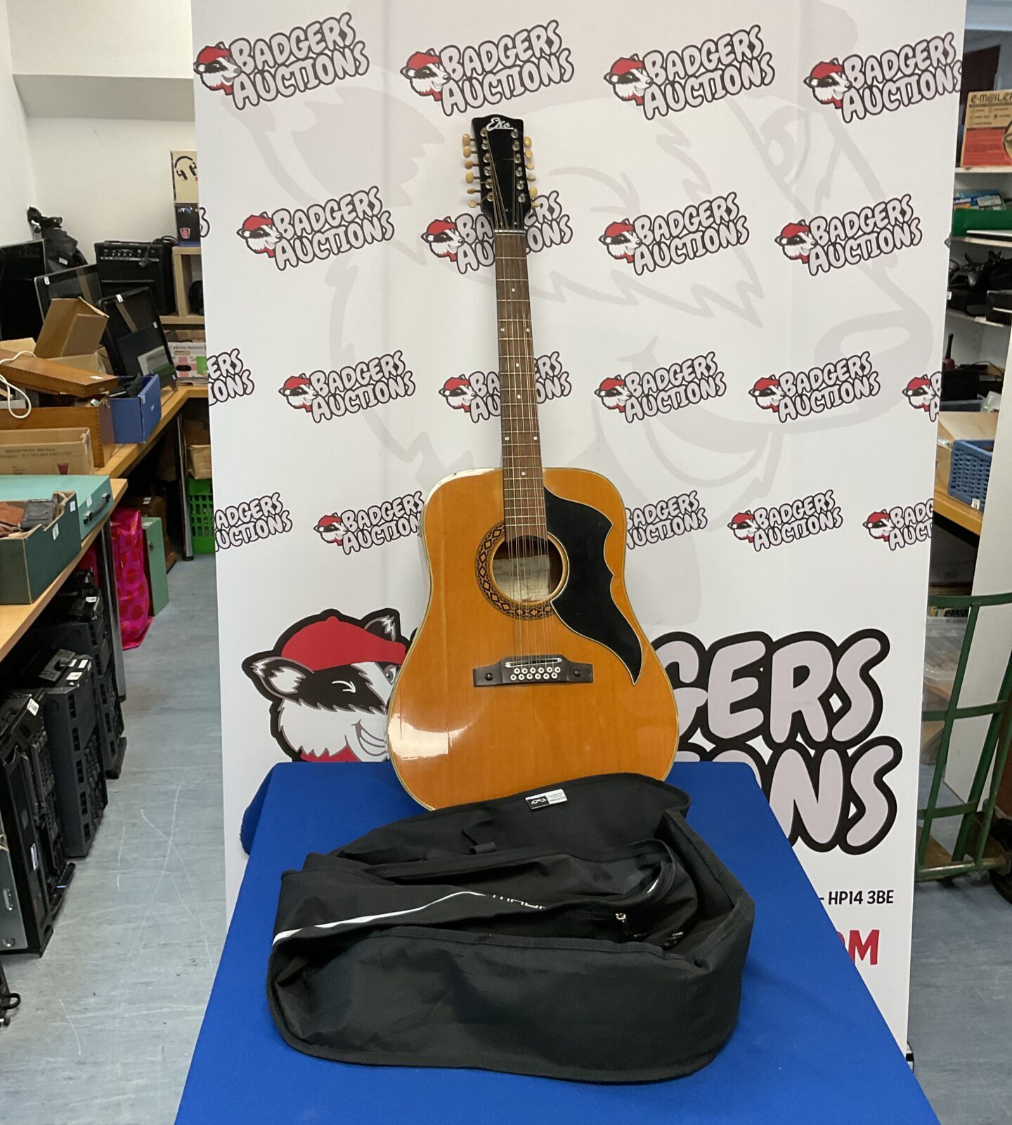 Eko j.53 acoustic guitar with case
