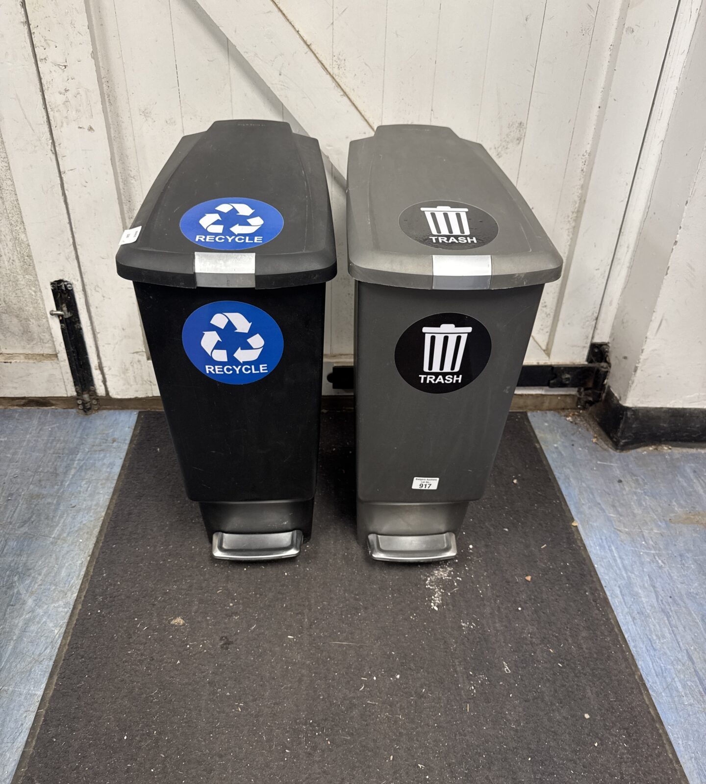 Two pedal bins