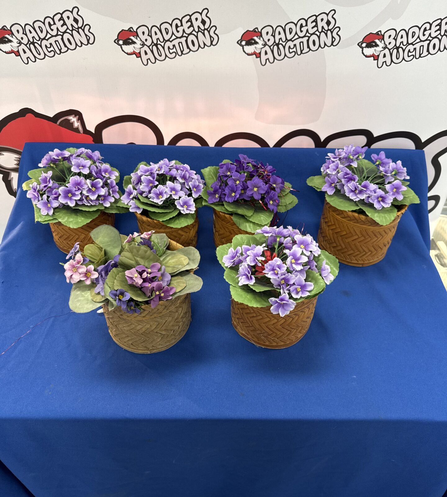 Six decorative artificial plants
