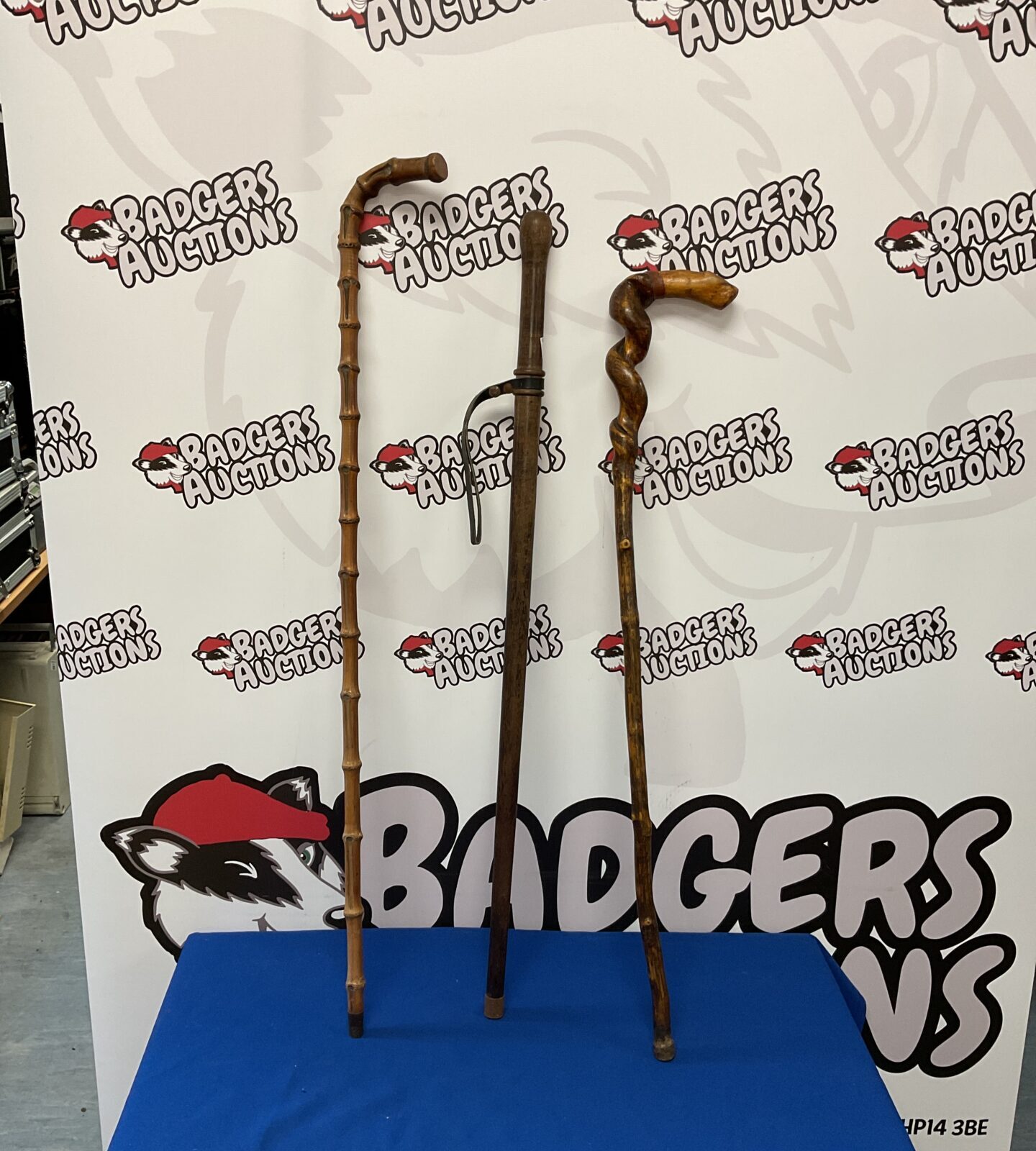 three walking sticks inc whangee bambooand twist wood