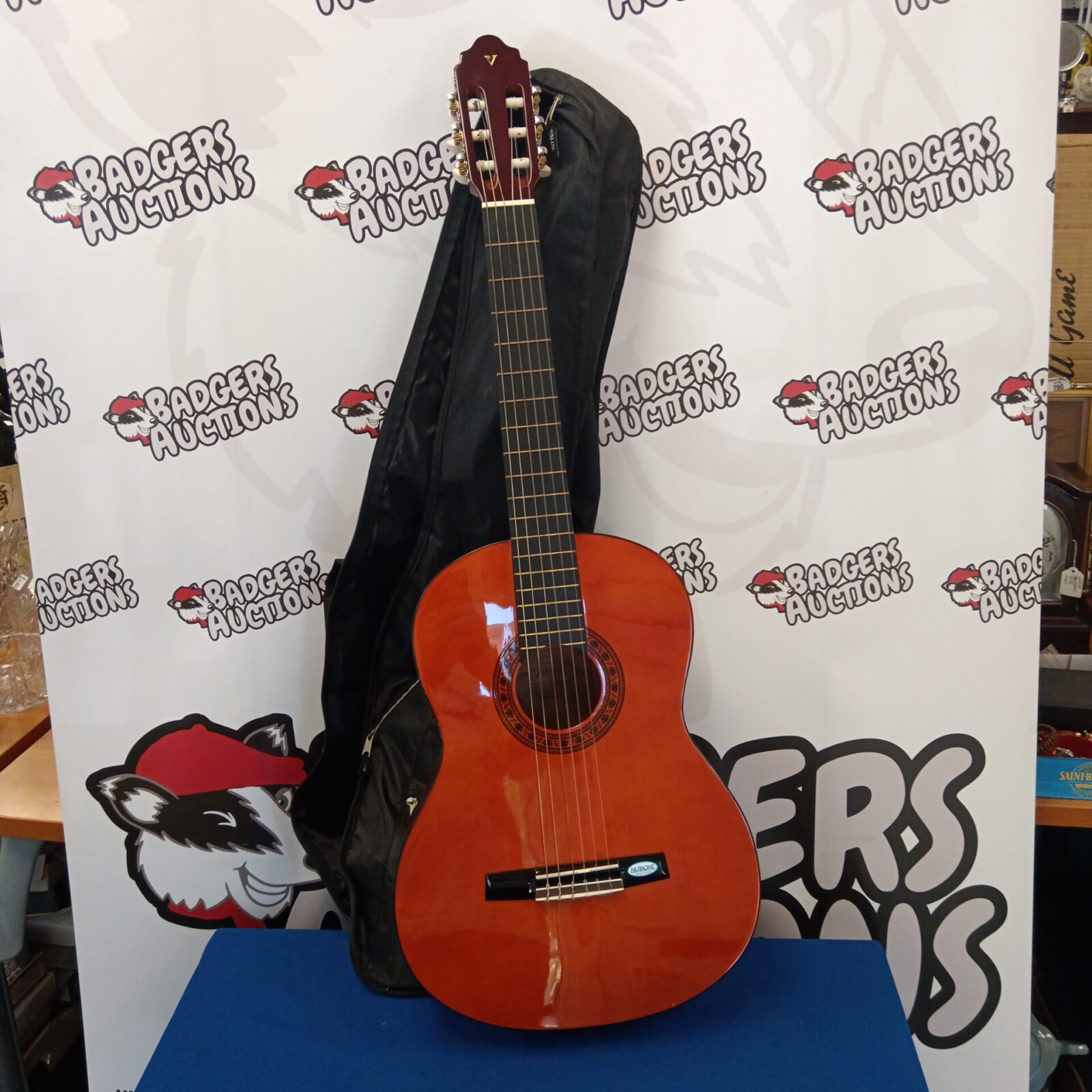 Valencia cg160 acoustic guitar with case