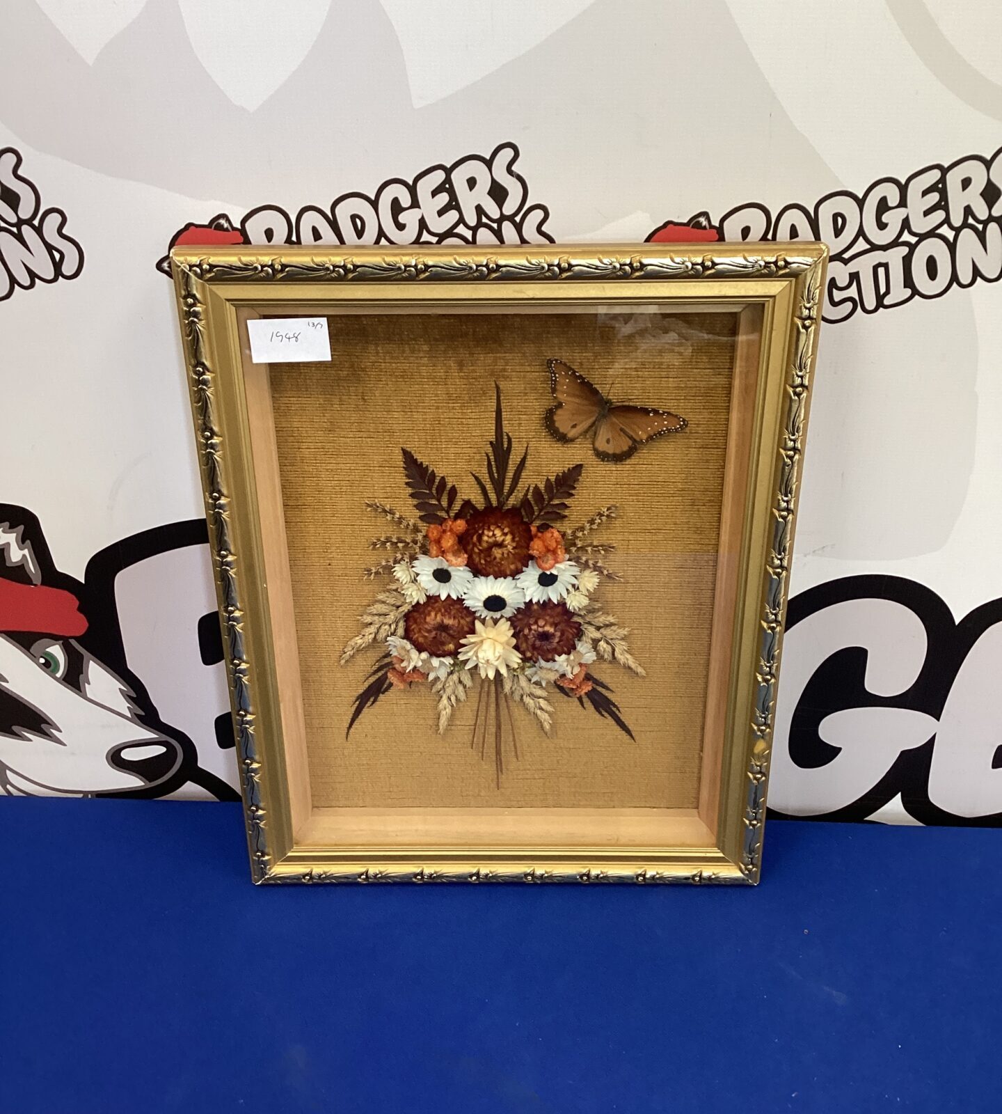 Vintage Pressed Flowers in Frame