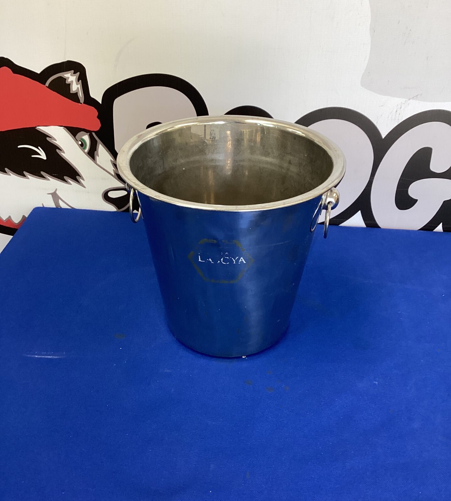 Stainless steel ice bucket