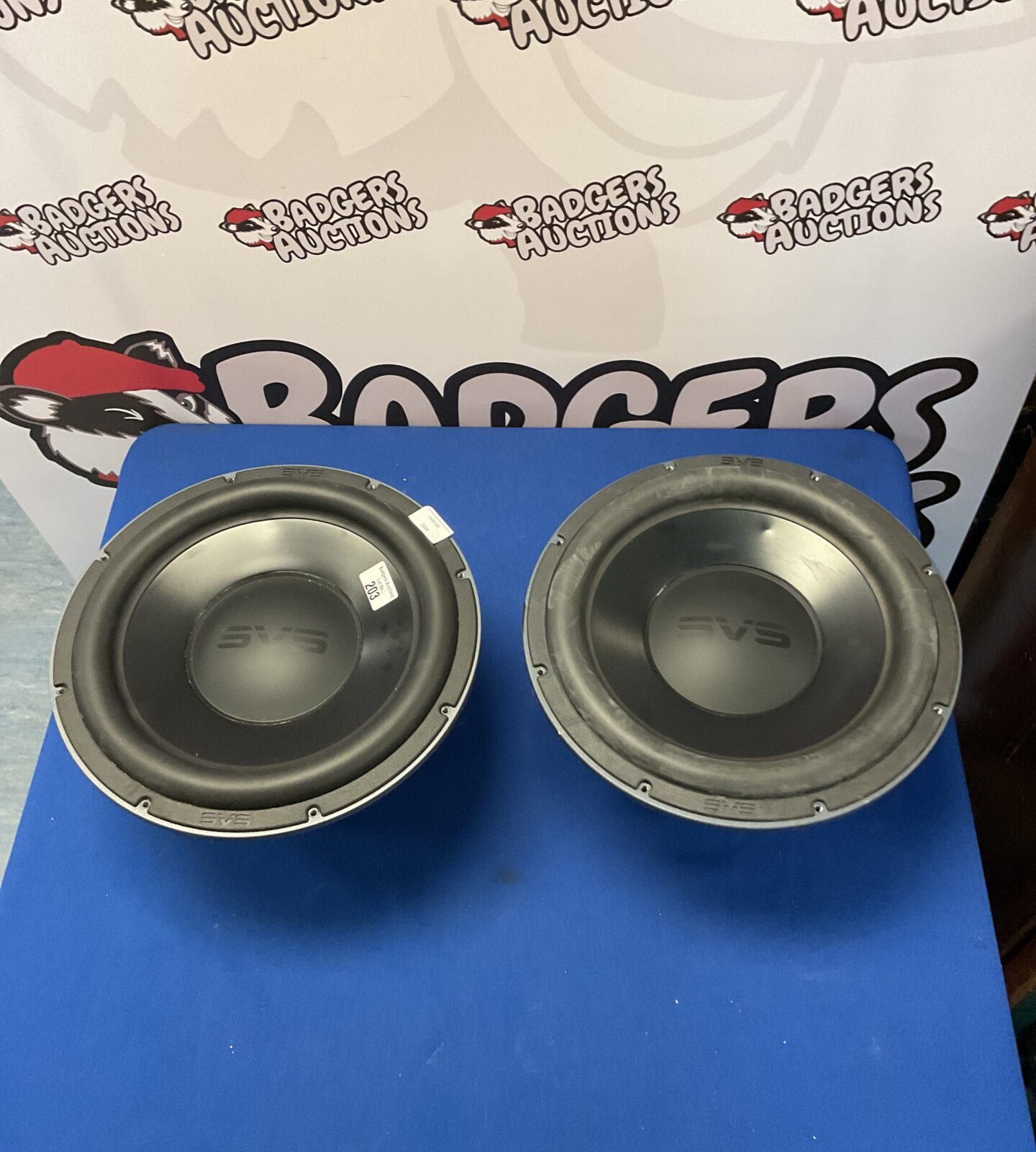 SVS 12 inch car subwoofers