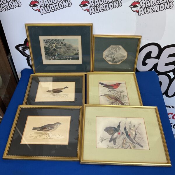 Six gilt framed antique engraving ps & prints of birds & wildlife