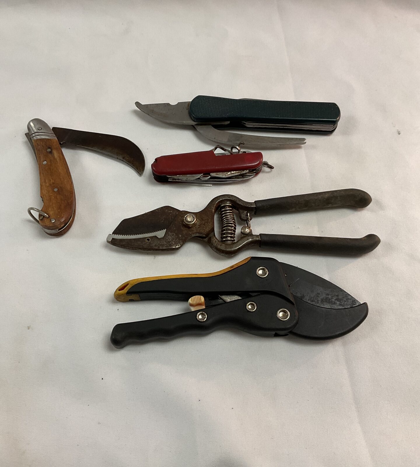 Five garden pruning tools