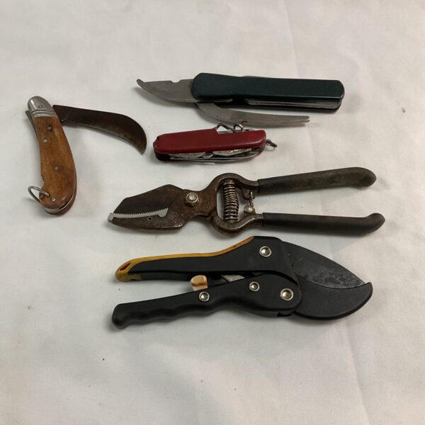 Five garden pruning tools
