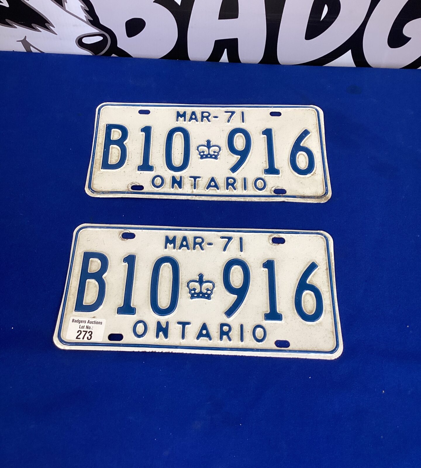 Pair of Canadian Car Registration Plates