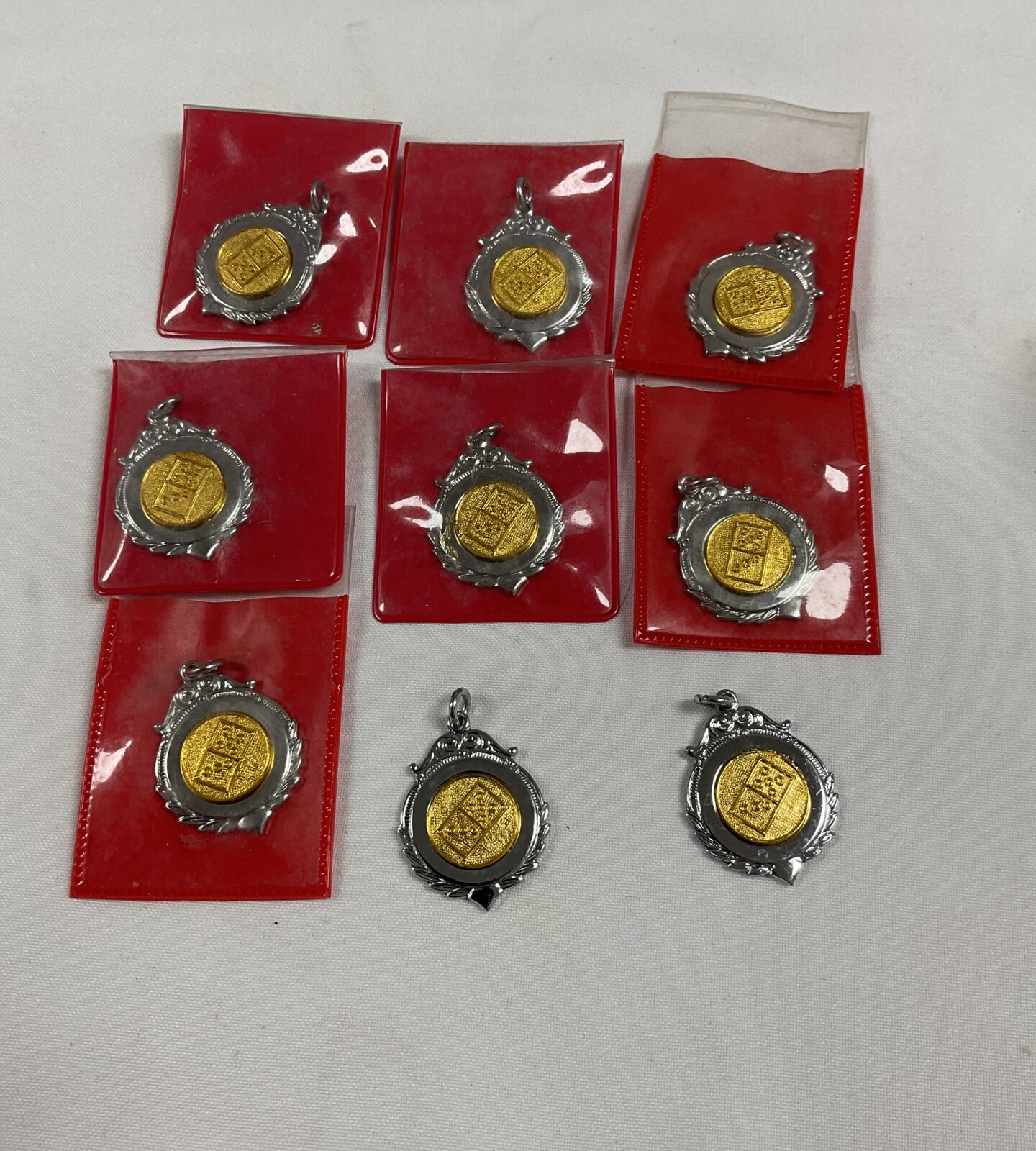 Tray of new dominoes medals
