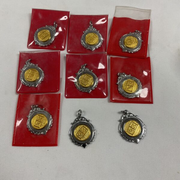 Tray of new dominoes medals