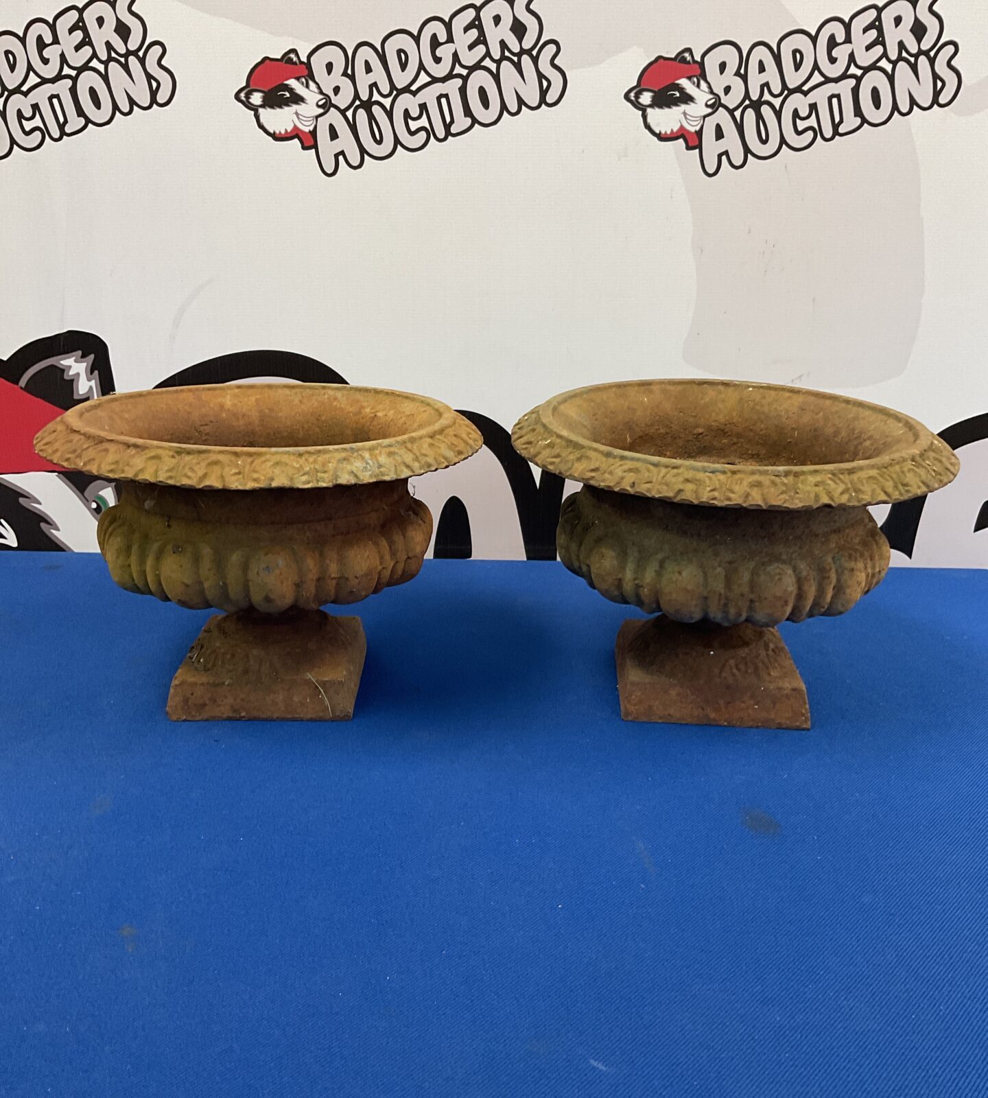 Pair of small Victorian cast iron urn planters