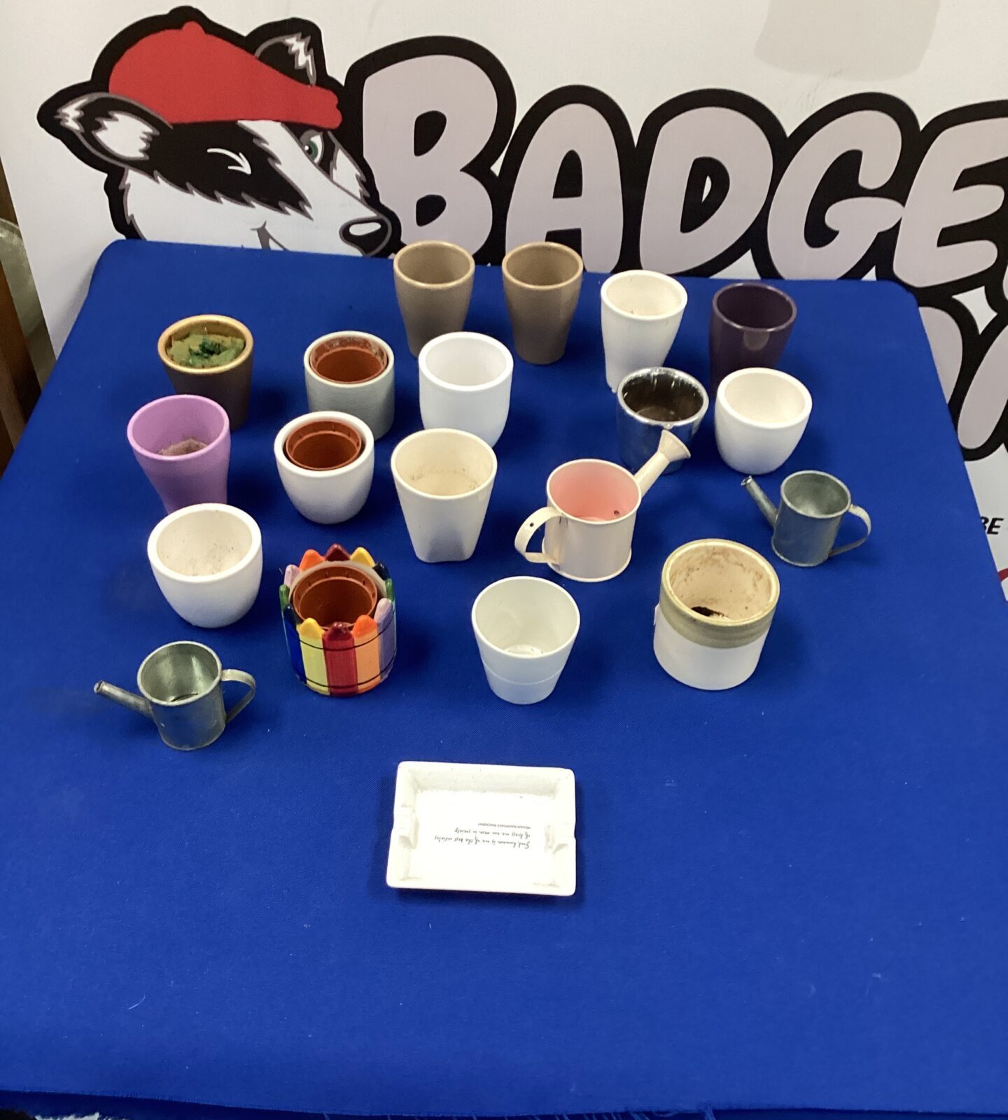 Quantity of mini flower pots