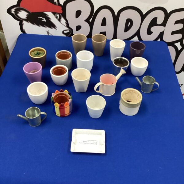 Quantity of mini flower pots