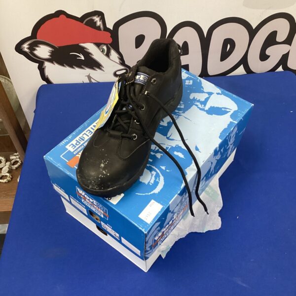 Pair of size 10 safety shoes by buckler