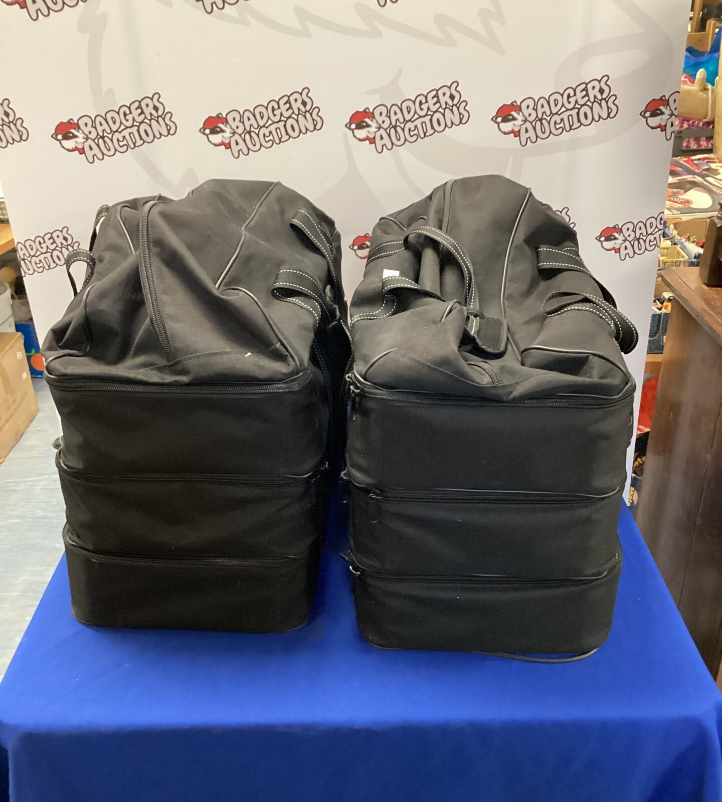 Two large travel bags
