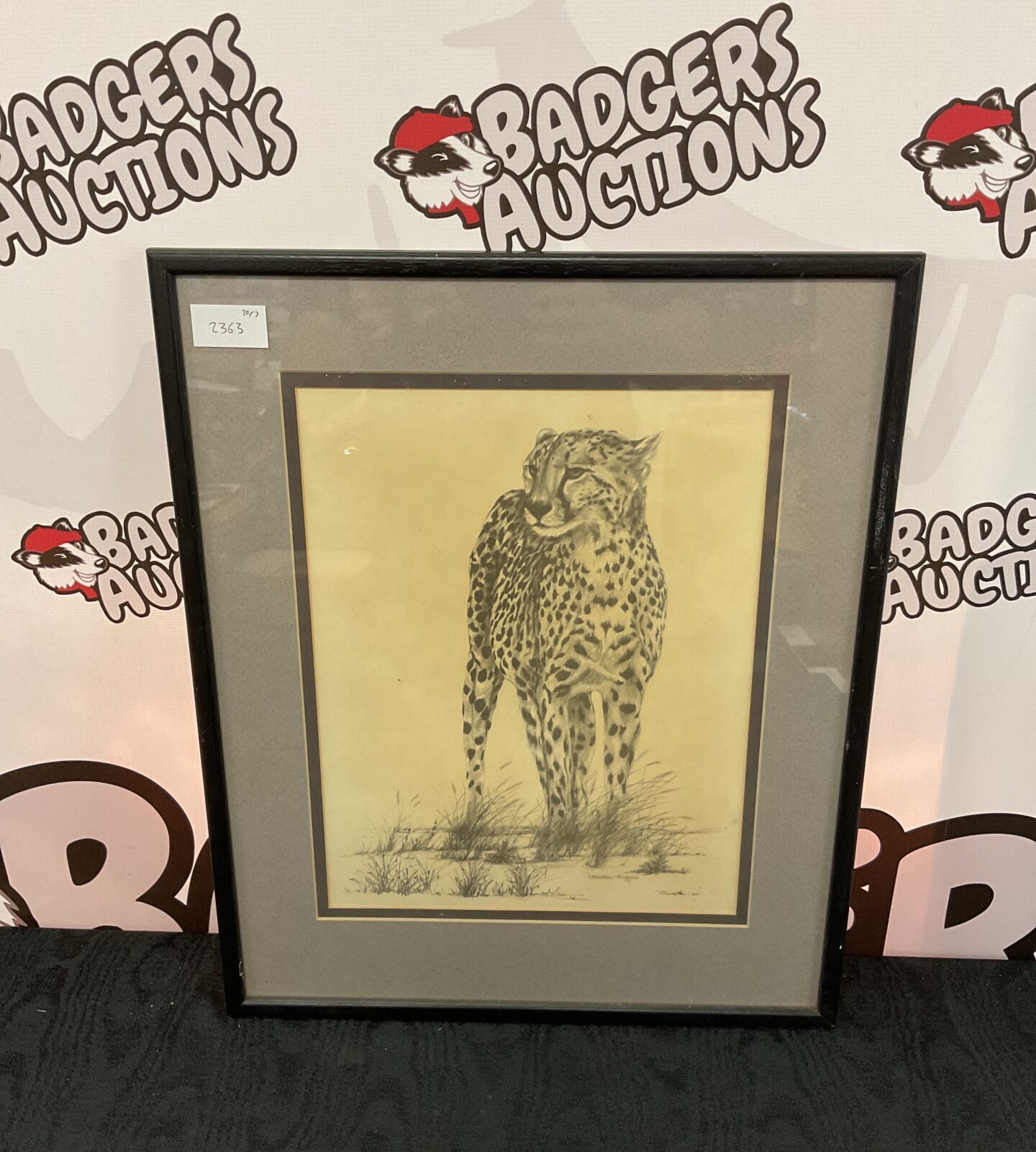 Marsden huggins framed print of a leopard