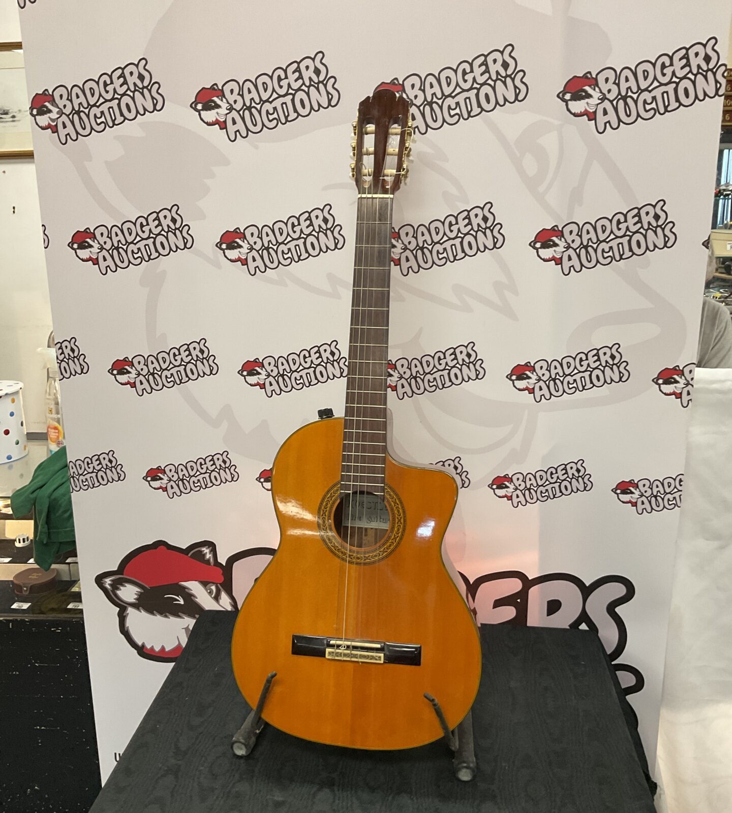 Koestiler fine acoustic guitar