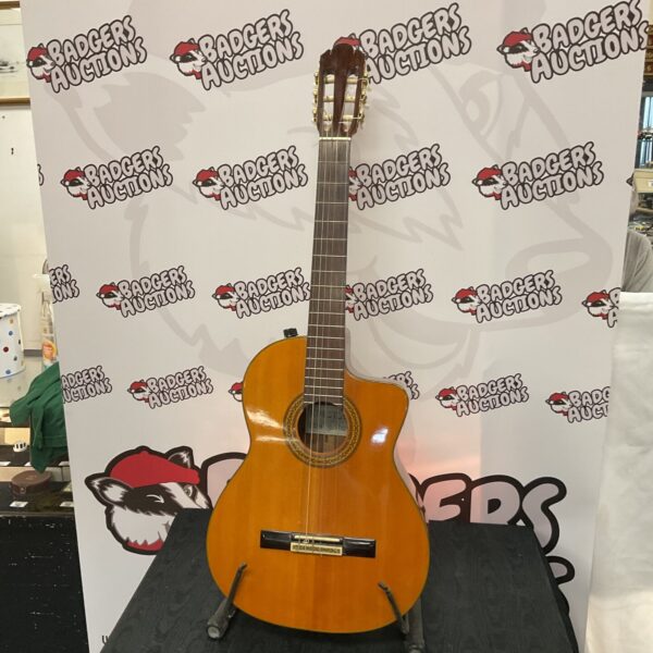 Koestiler fine acoustic guitar