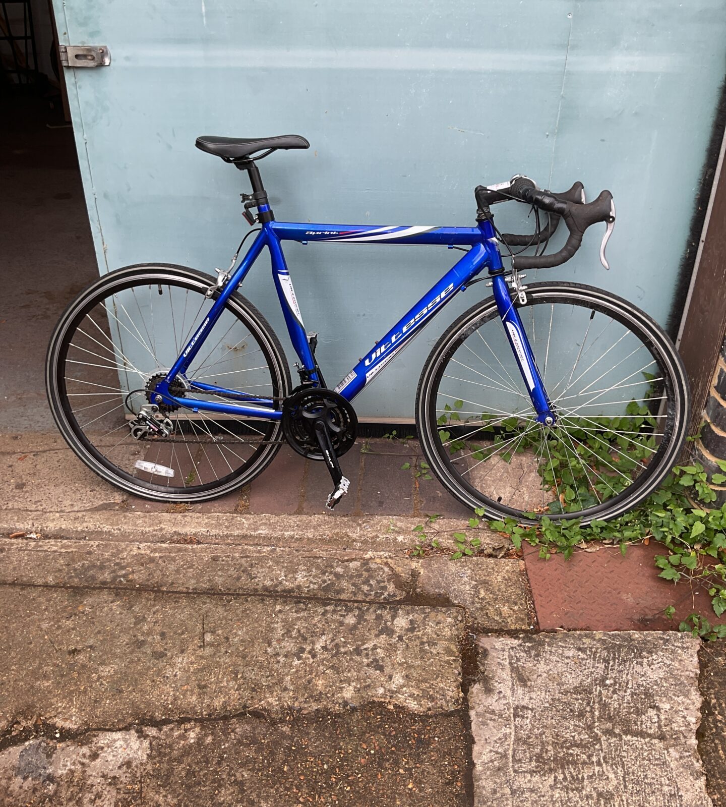 Vittesse sprint racing bike
