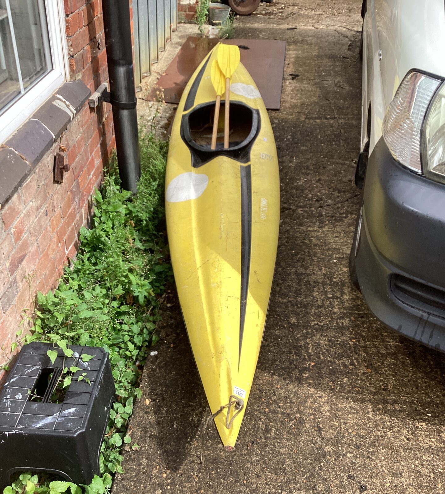 Canoe with paddles