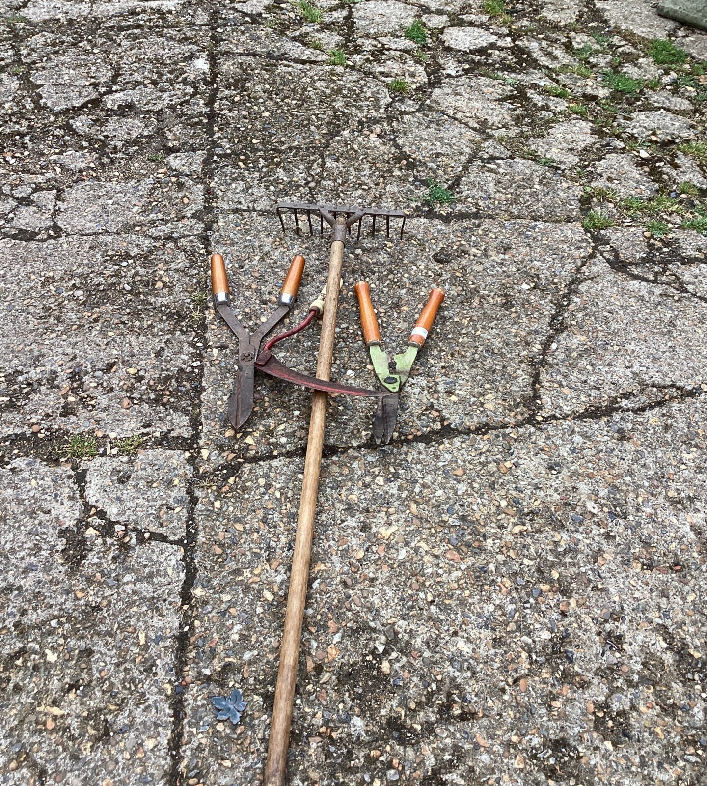 Selection of garden tools