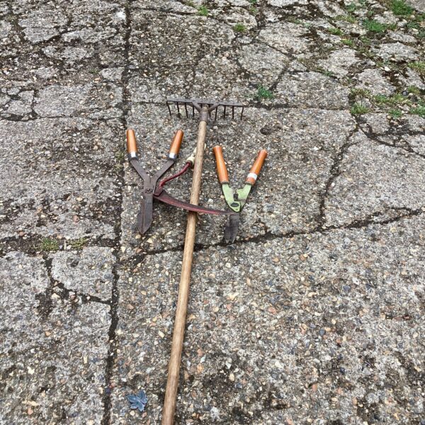 Selection of garden tools
