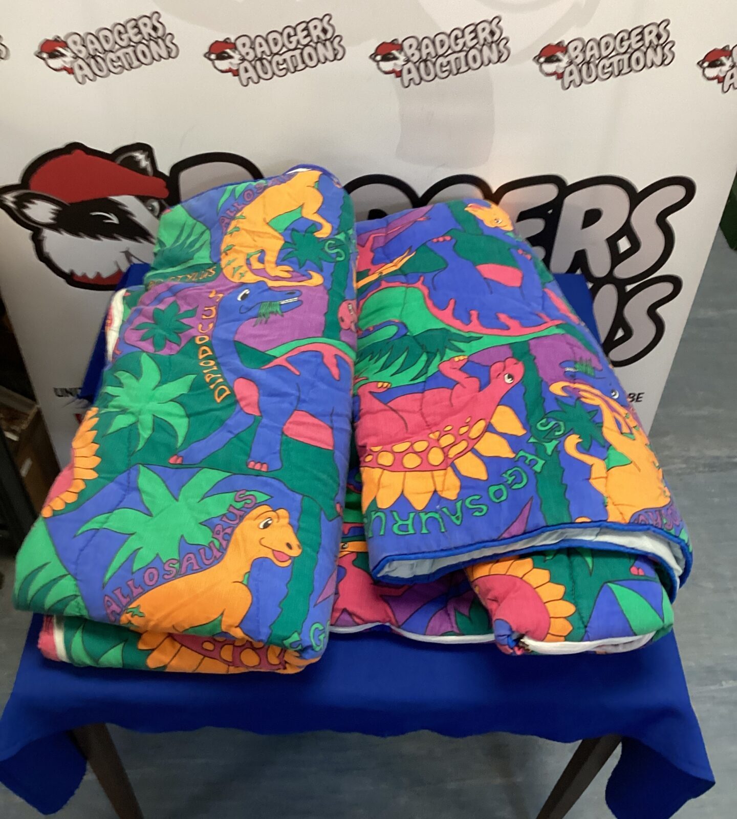 Two dinosaur sleeping bags