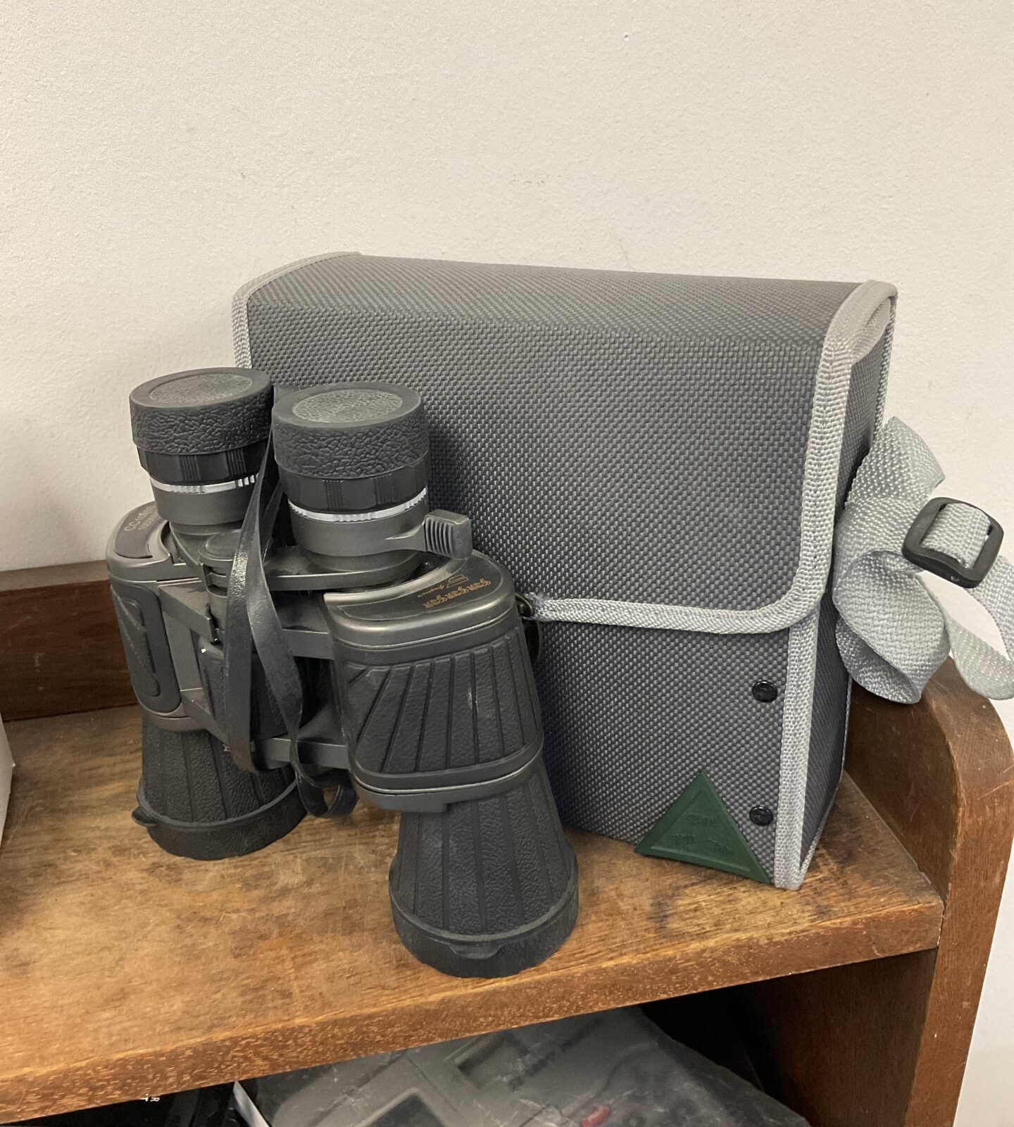 Pair of gingingin binoculars in case