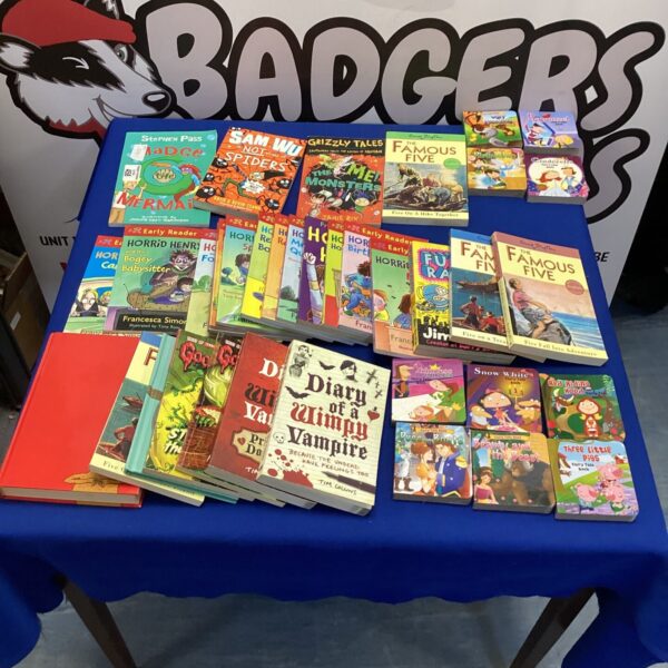 Quantity of kids books inc diary of a wimpy vampire, enid blyton & early reader