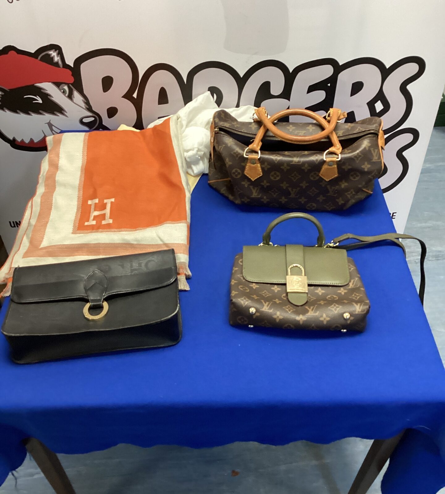 Collection of fashion bags inc Louis Vuitton style & hermes style scarf