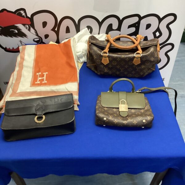 Collection of fashion bags inc Louis Vuitton style & hermes style scarf