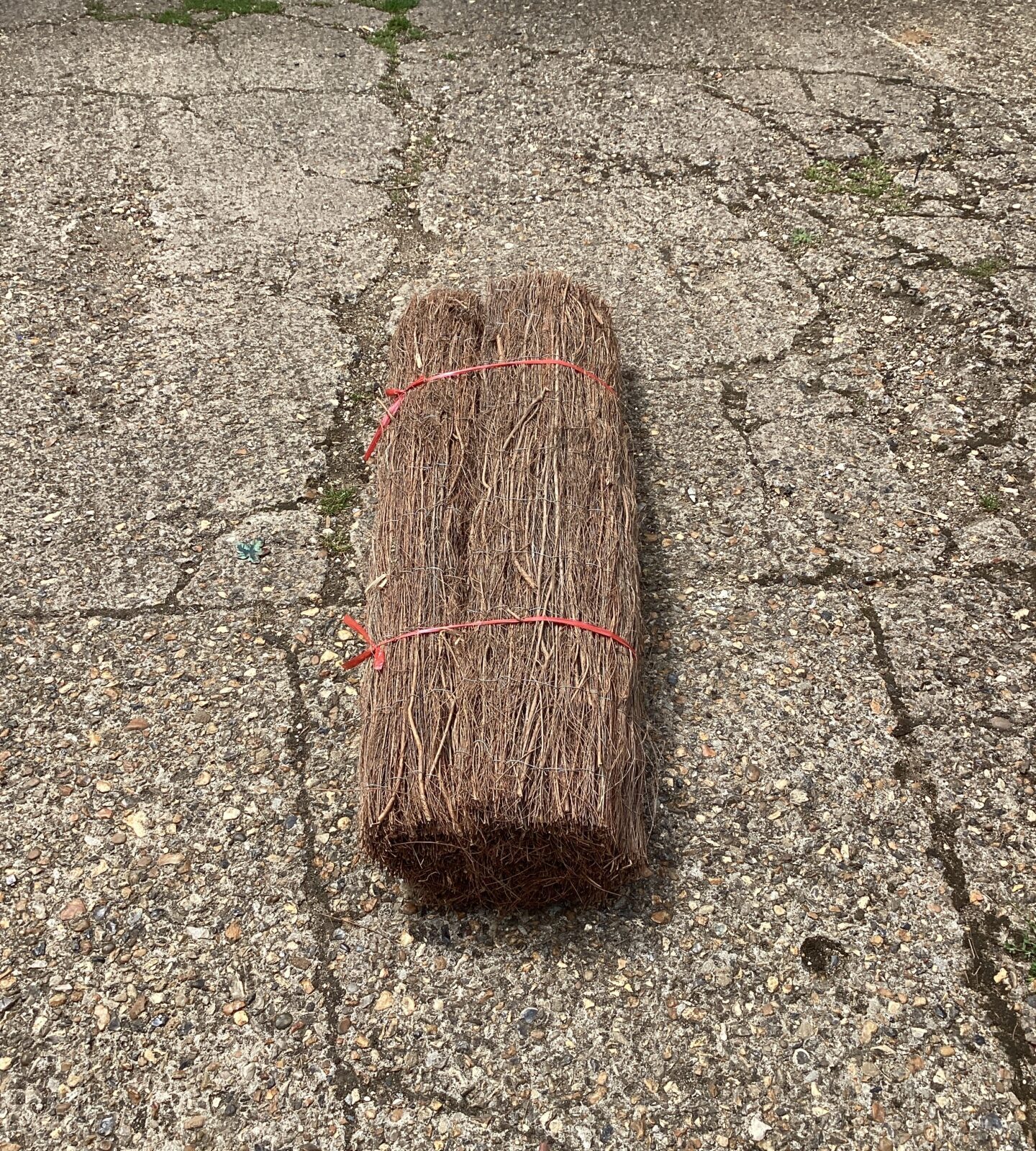 Roll of screening Hedge