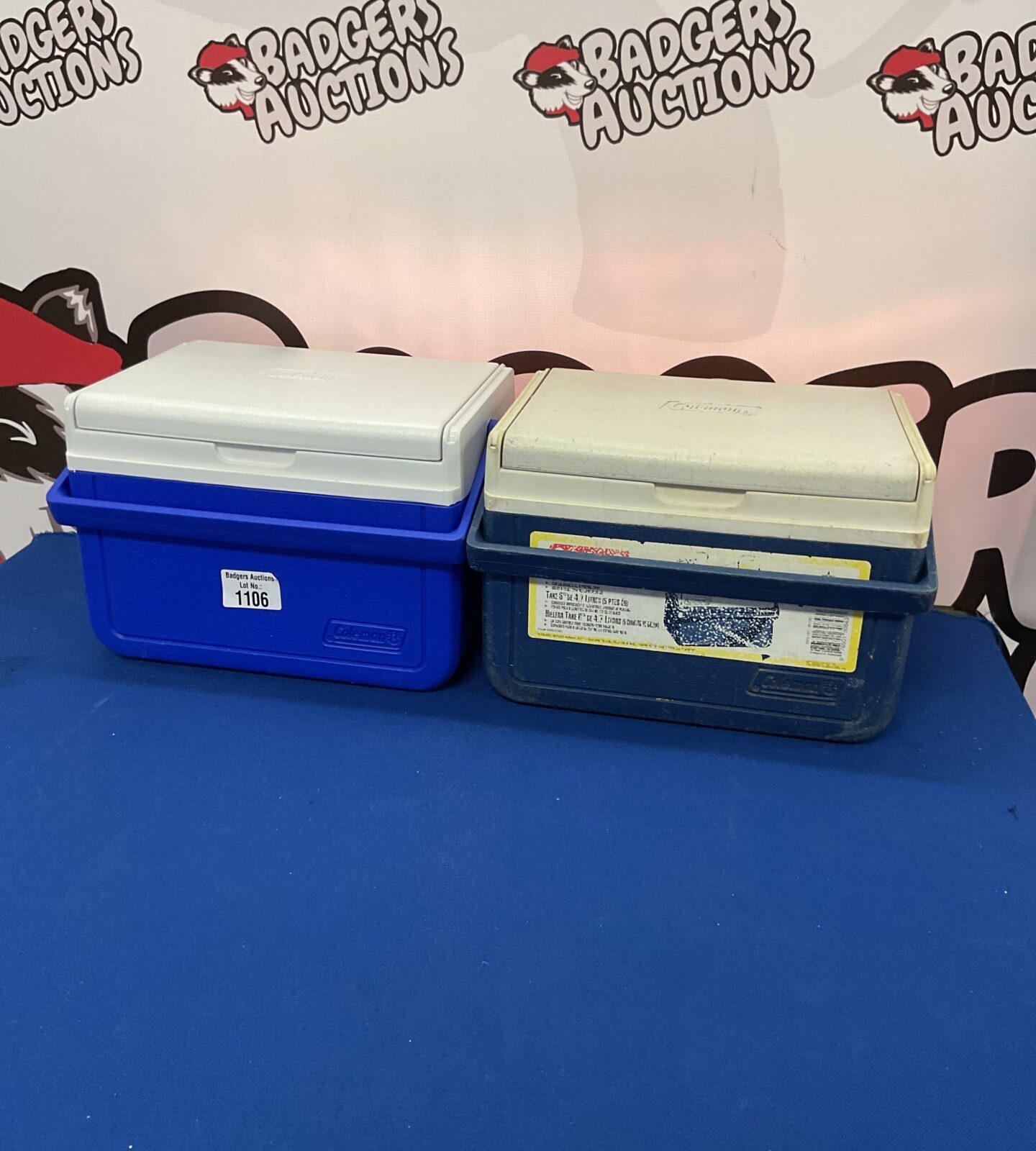 Two coleman cool boxes