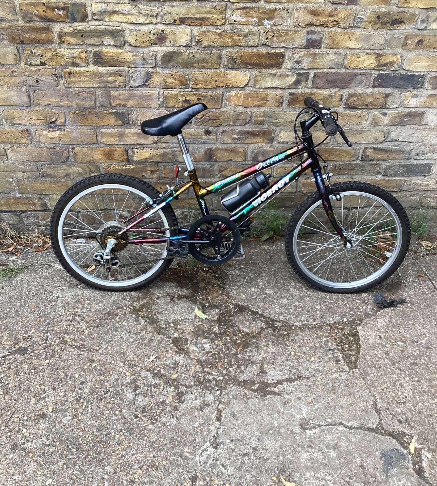 Viceroy outlaw Childs Bike