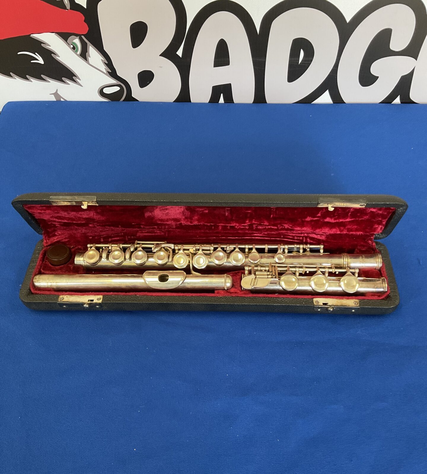 Skylark 46 flute in case