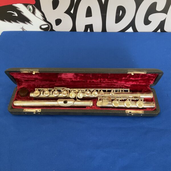 Skylark 46 flute in case