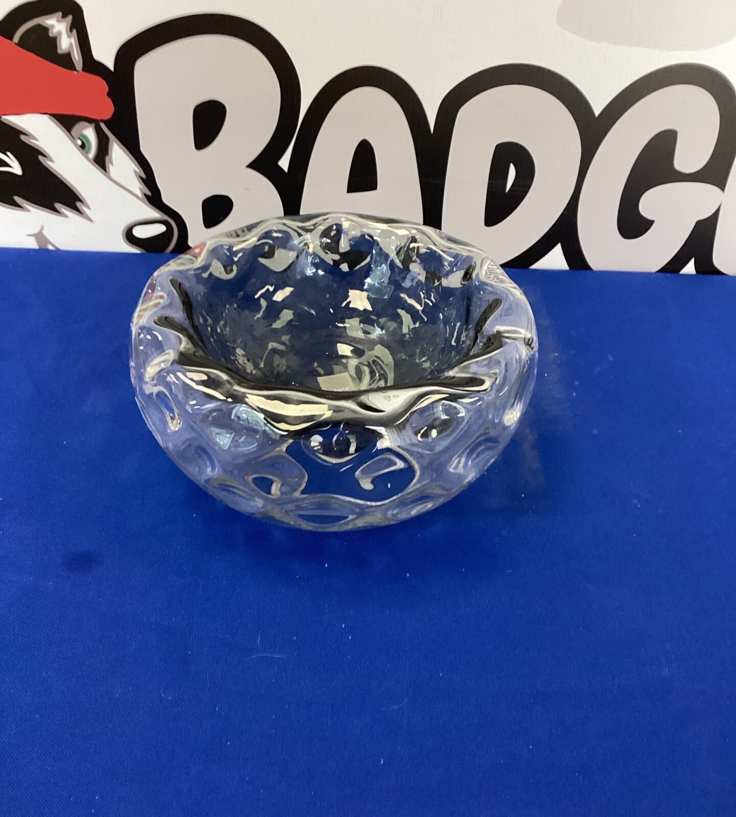 Hotel Large Glass Bowl