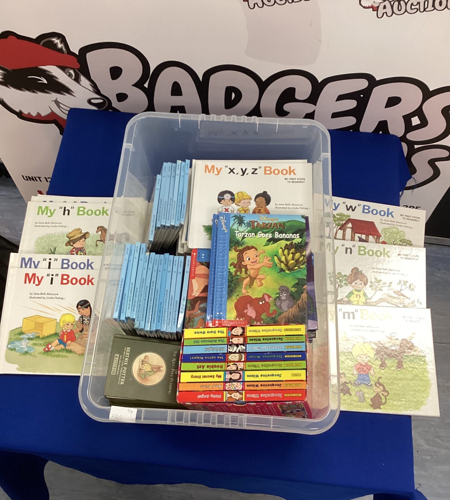 Large quantity of childrens books inc Disney