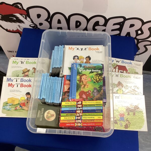 Large quantity of childrens books inc Disney