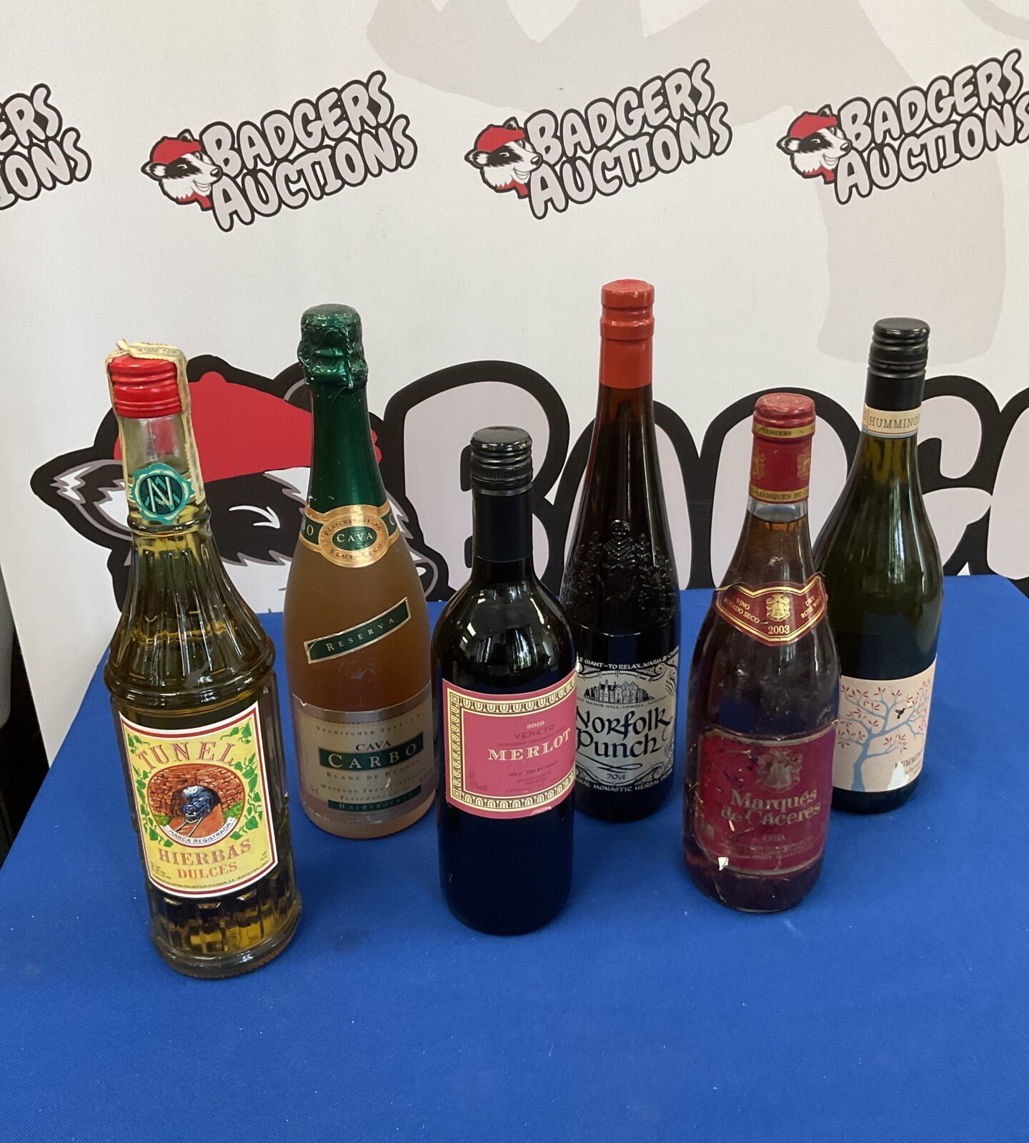 Six bottles of wine including veneto merlot & hummingbird