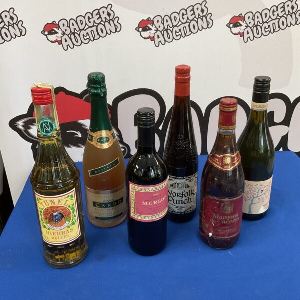 Six bottles of wine including veneto merlot & hummingbird