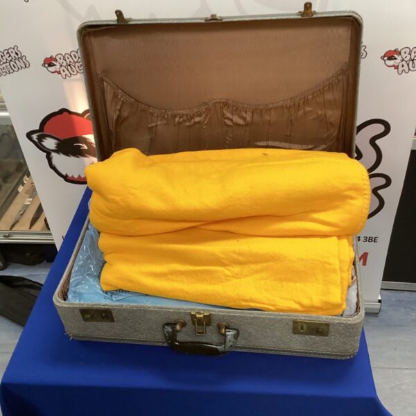 Suitcase with blankets