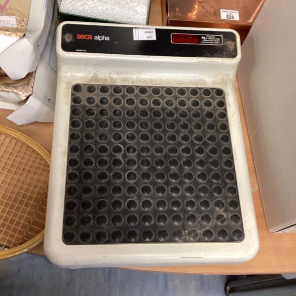 Set of seca alpha weighing scales