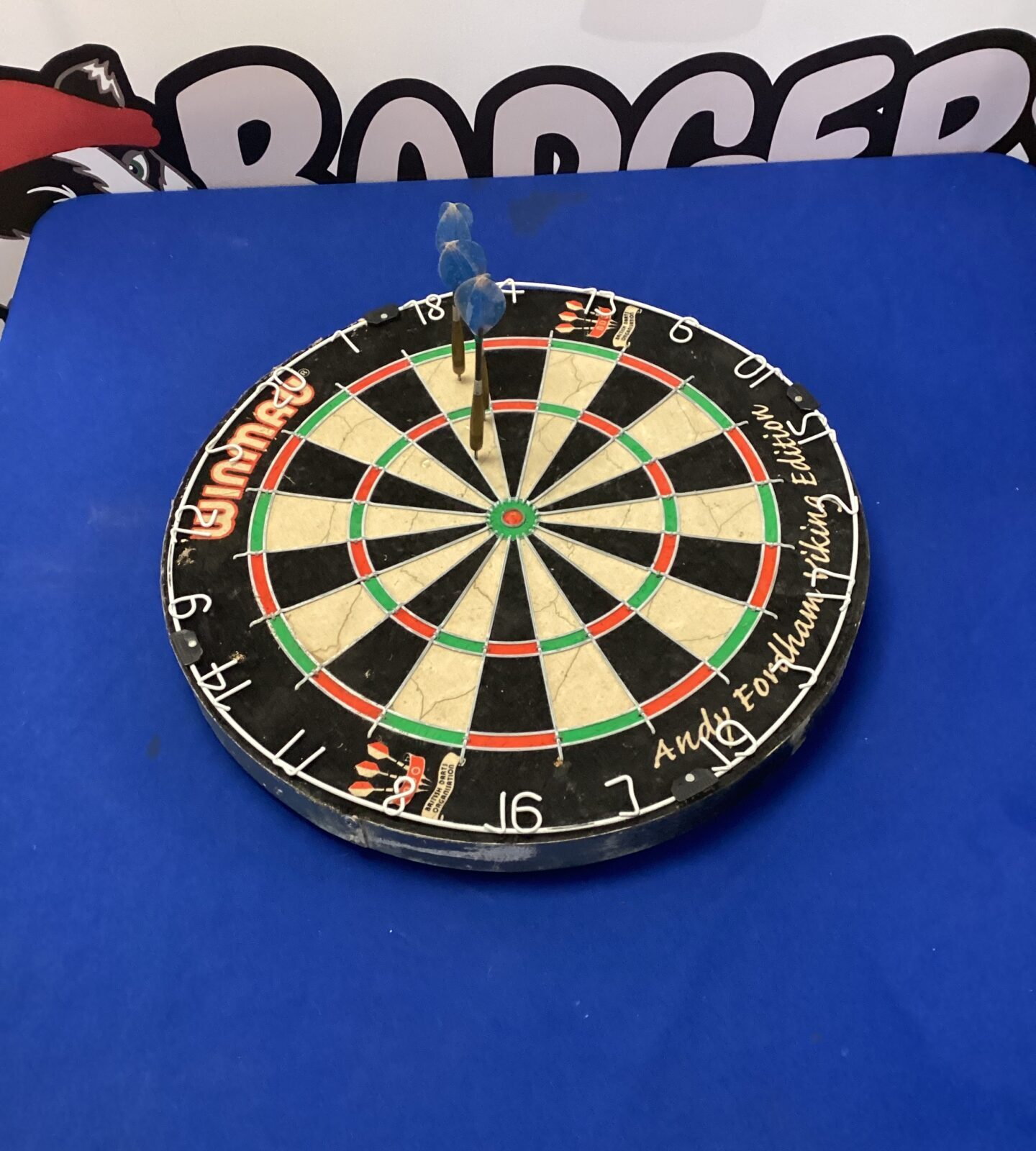 Winmau dartboard with darts
