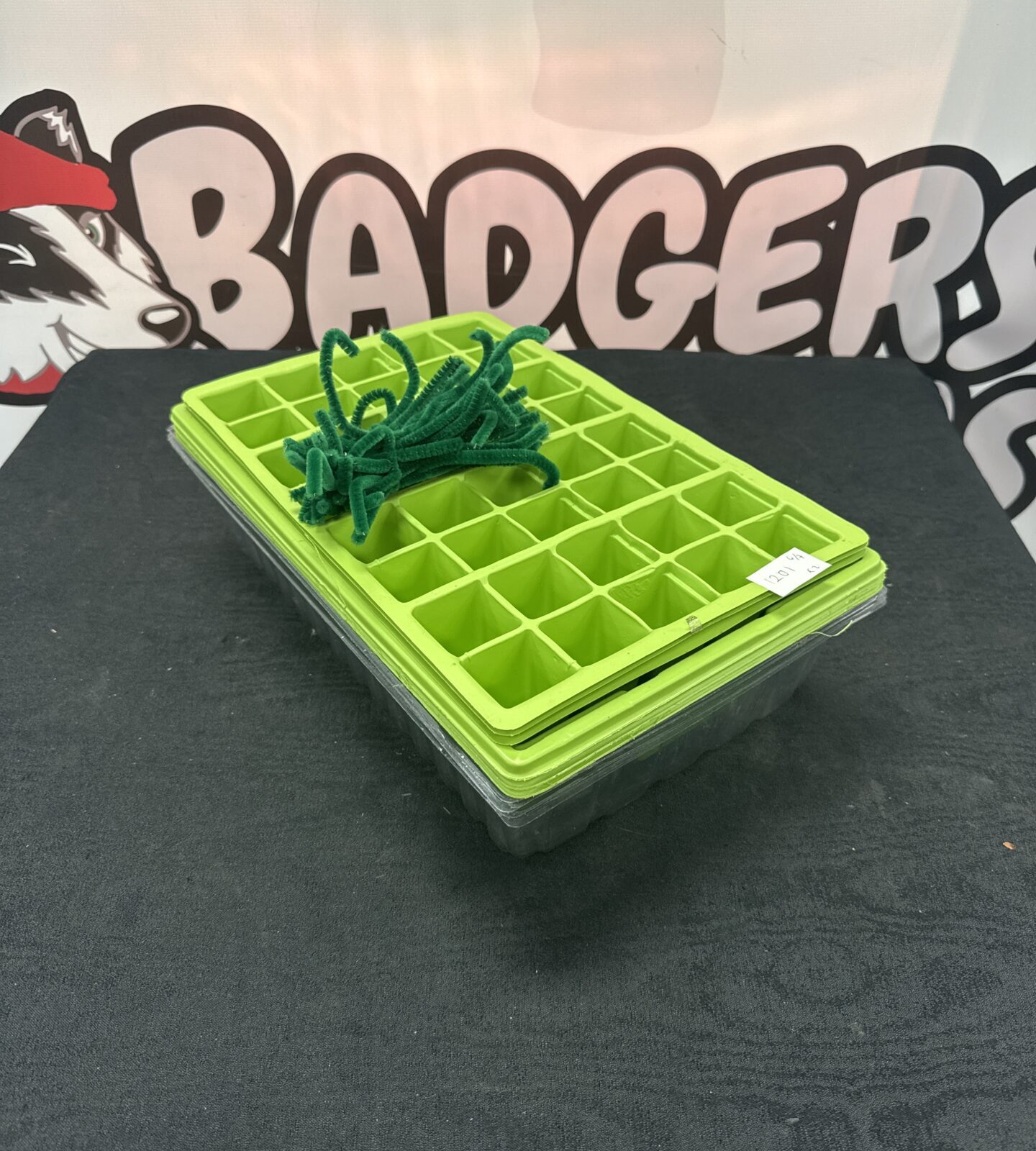 Selection of plant seedling trays with pipe cleaners