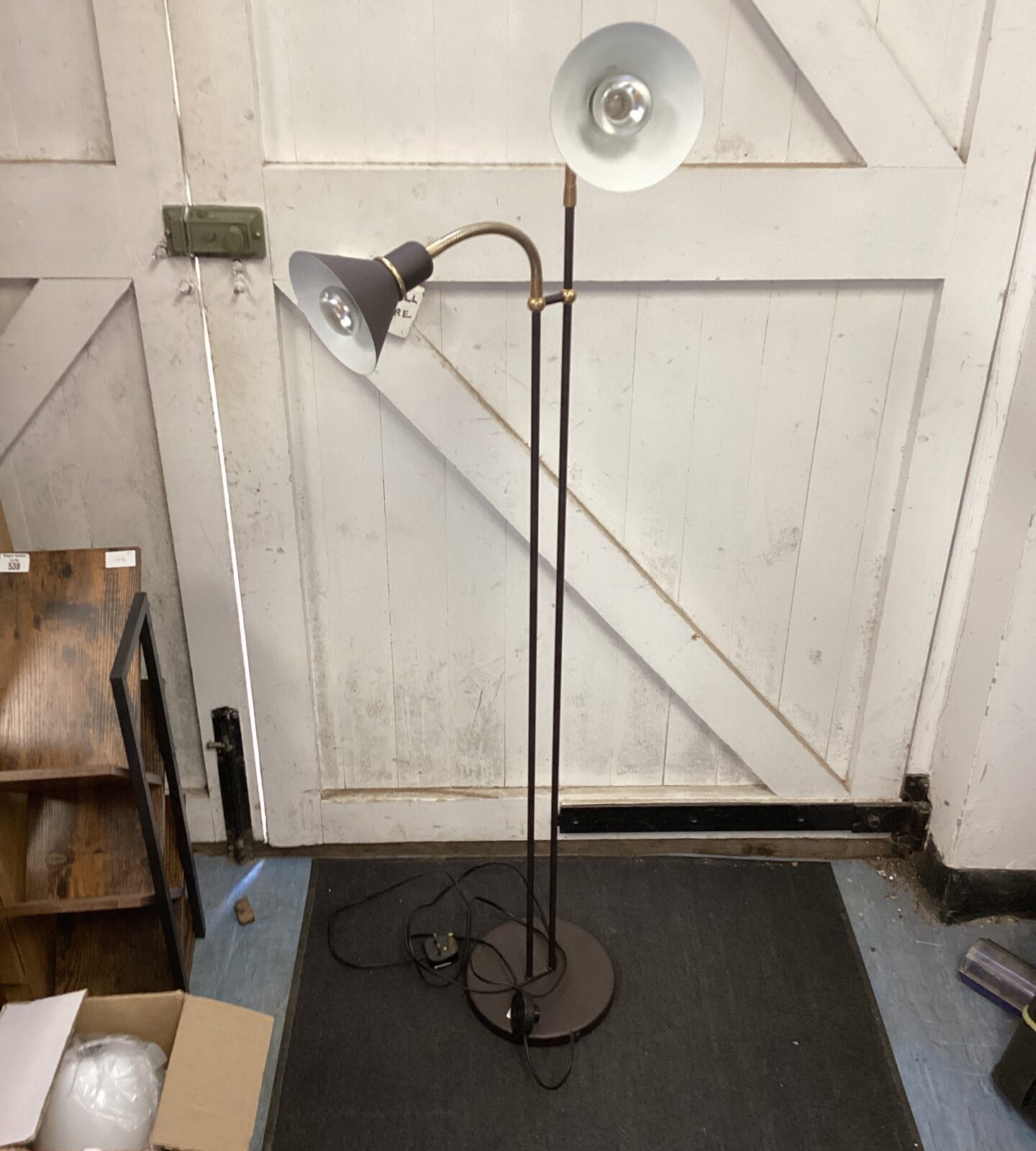 Standard lamp with dual flexible heads